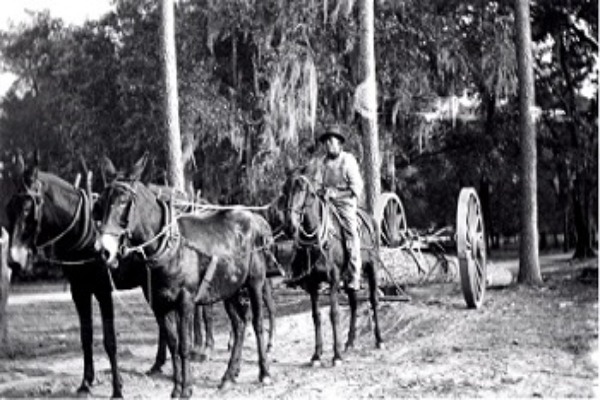 This cart is very similar to the Bealby cart and illustrates how it was used