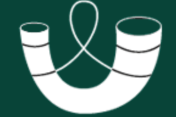 The Thoroton Society Logo